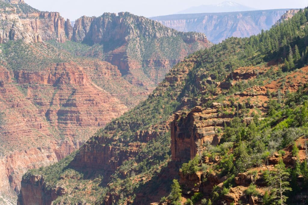 Scenic view along the North Kaibab trail at the North Rim of Grand Canyon