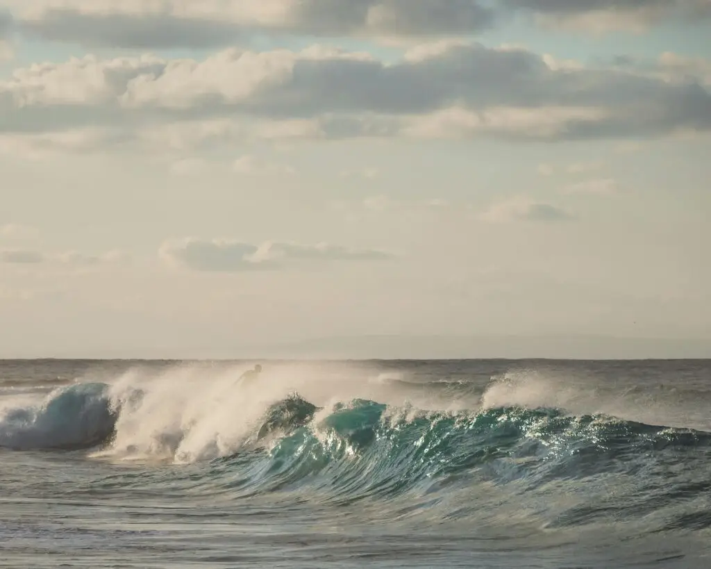 Oceania & The Pacific
