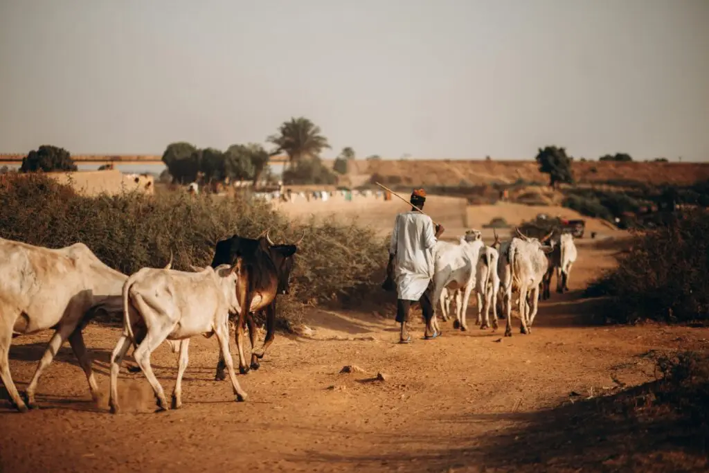 São Tomé and Príncipe