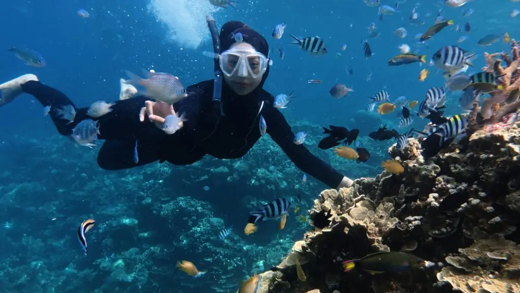 Snorkeling and diving