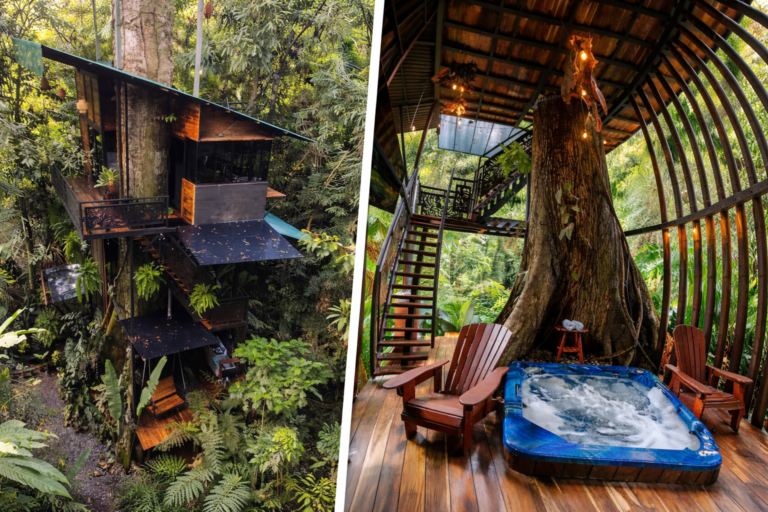 Treehouse San Carlos Costa Rica