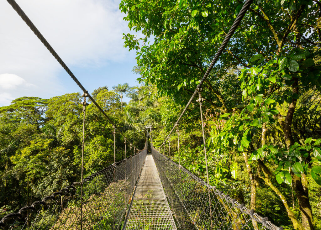 Monteverde